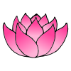 Lotus Picture