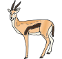 Gazelle Picture