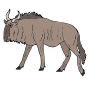 Wildebeast Picture
