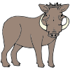 Warthog Picture