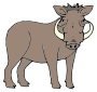 Warthog Picture