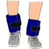 Ankle Weights Picture