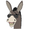 Spunky Donkey Picture
