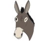 Winky Donkey Picture