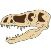 T-Rex Skull Picture