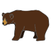 Bears+hibernate+in+caves_+hallow+trees_+or+under+rocks. Picture