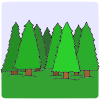 Trees Picture