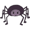 Calm Spider Picture