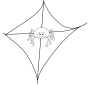 Spider Web Outline