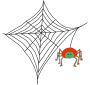 Spider Web Picture