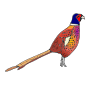 Pheasant Picture