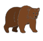 Grizzly Bear Picture
