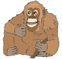 Orangutan Picture