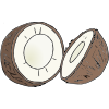 Coconut Picture