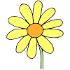 Yellow+Flower Picture
