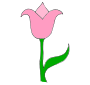 Tulip Picture