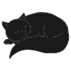 Cat Nap Picture