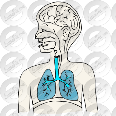Lungs Picture