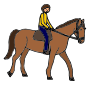 Horseback Riding Picture