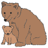 bear+cub Picture