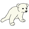polar bear cub Picture