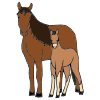 Horse+_+foal Picture
