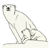 polar+bear+and+cub Picture