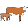 Cow+_+calf Picture