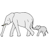 Elephant+_+calf Picture