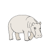 Hippopotamus+Calf Picture