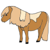 Pony Picture