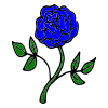 1+blue+rose. Picture