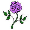Purple Rose Picture