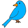 Blue+Bird Picture