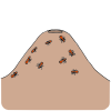 Follow+ants+to+their+Anthill Picture