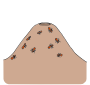 Anthill Picture