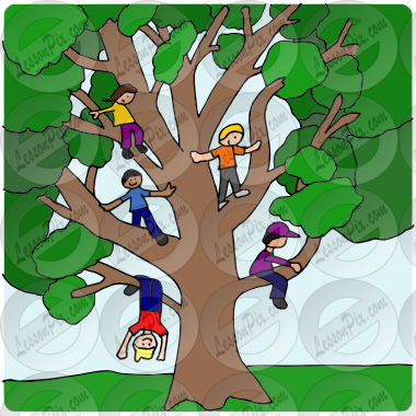 Climb Tree Picture