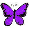 Flutter+like+a+Butterfly Picture