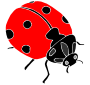 Ladybug Stencil