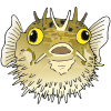 P+is+for+pufferfish. Picture