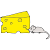 Mouse+Cheese Picture