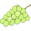 Green+Grapes Picture