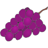 Purple+Grapes Picture