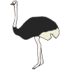 the+ostrich Picture