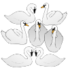 Seven Swans Picture