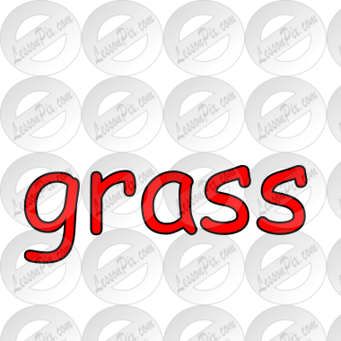grass Picture