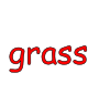 grass Picture