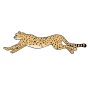 Cheetah Picture