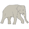 Elephant+trumpeting Picture