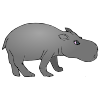 Hippo Picture